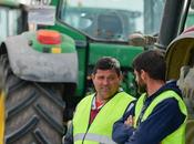 CCOO asegura mitad agricultores Castilla-La Mancha tienen tierras, granjas tractores