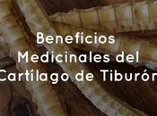 Beneficios Medicinales Cartílago Tiburón