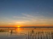 Descubre Albufera Valencia