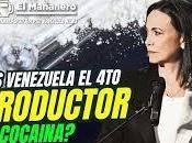 María Machado estrategia caos