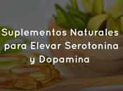 Suplementos Naturales para Elevar Serotonina Dopamina