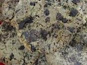 Cookies chocolate 'light'