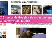 Círculos Google+ organizaciones lucrativas Mundo