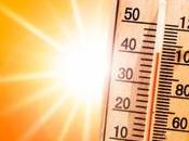 exposición calor puede aumentar inflamación dañar sistema inmunológico, según estudio