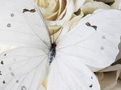 Mariposas blancas