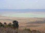 Tanzania: cráter ngorongoro