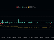 Dogecoin: comerciantes largo plazo perdieron millones dólares; Aquí donde deja