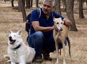 4EverDogs, educación cuidado perros respetando naturaleza