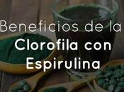 Beneficios Clorofila Espirulina