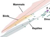 nueva investigación revela dinosaurios eran inteligentes como pensábamos