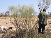 Defensores animales oponen menores participen batidas