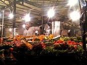 Plaza Plazas