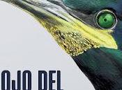 Nuevo libro: Cormorán"