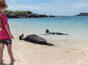 Metropolitan Touring celebra niño Galápagos: destino perfecto para despertar curiosidad amor naturaleza niños
