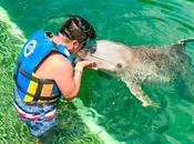 mejores actividades Puerto Aventuras