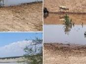 Gobierno Capital construye bordos abrevadero para combatir crisis hídrica