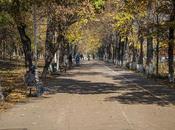 Paseo