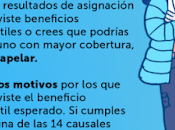 Proceso Apelación Beneficios Estudiantiles (FUAS): causales.