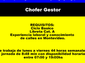 Chofer Gestor