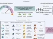 Salud mental esta ligada longevidad humana