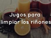 Jugos para limpiar riñones