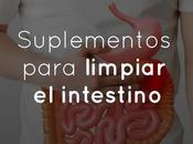 Suplementos para limpiar intestino