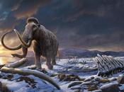 Secretos supervivencia misteriosa extinción isla Wrangel