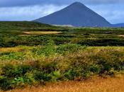 Islandia hacia fiordos este