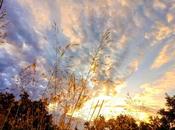 Estampas: amanece