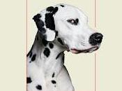 gran serpiente (Penguin Random House)