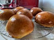 Panes para hamburguesa brioche