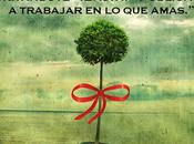 Amar haces