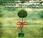 Amar haces