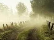 Sólo Vida para Vivir