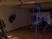 Aldo Chaparro: 'Pure Beauty'