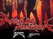 Angelus Apatrida agenda fecha para regreso Chile