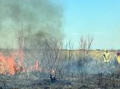 Incendio Forestal Picún Leufú