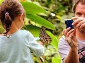 "Guardianes Bosque, iniciativa para niños aprendan conservación ambiental”