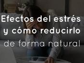 Efectos estrés cómo reducirlo forma natural