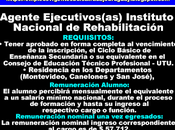 Agente Ejecutivos(as) Instituto Nacional Rehabilitación