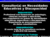 Consultor(a) Necesidades Educativas Discapacidad