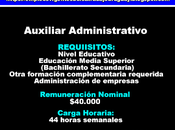 Auxiliar Administrativo(Maldonado)