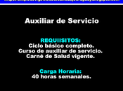 Auxiliar Servicio(40 horas semanales)