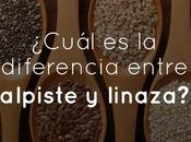 ¿Cuál diferencia entre alpiste linaza?