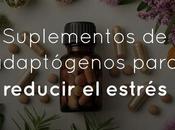 Suplementos adaptógenos para reducir estrés