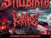 Entrevista Stillbirth