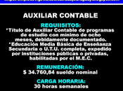 Auxiliar contable