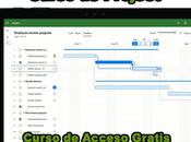 Curso Project Modalidad 100% Virtual Acceso Gratis