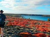 Mundial Turismo, fecha especial lidera camino hacia conectividad entre naciones