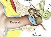 Reflexologia vertigos-mareos-acufenos tinnitus